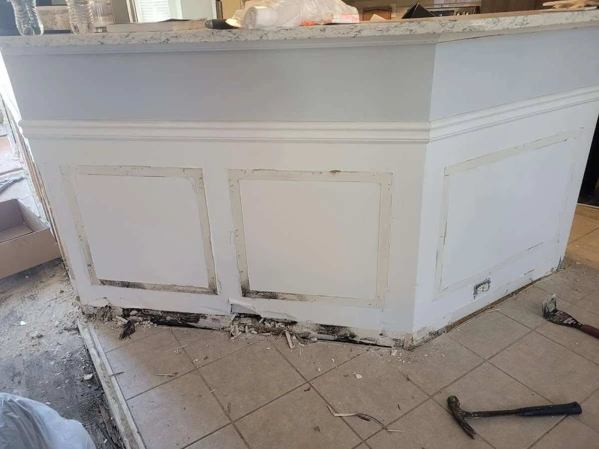 Water damage and mold on kitchen during Sewage Cleanup & Sanitation in Ambridge